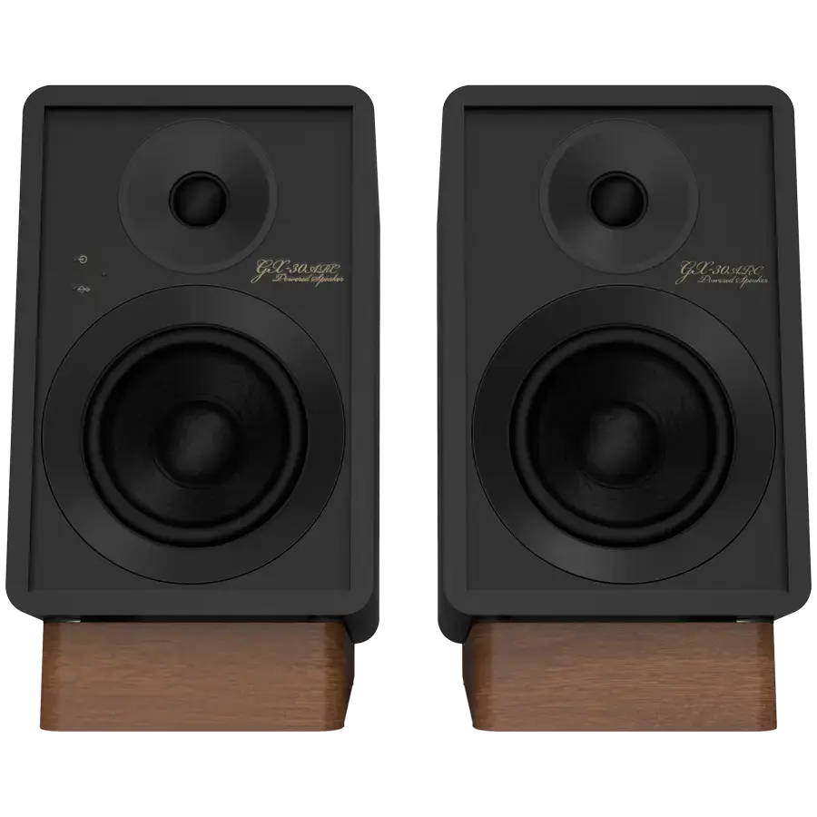 Onkyo Creator Series GX-30ARC Powered Speakers, Black, pair