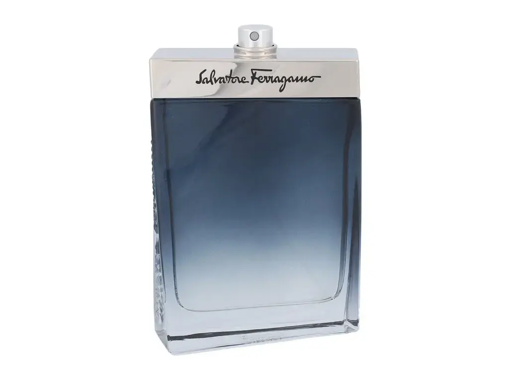Ferragamo Subtil Pour Homme Eau de Toilette 100 ml
