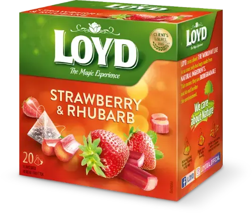 Augļu tēja LOYD Pyramids ar zemeņu un rabarberu garšu, 20x2 g