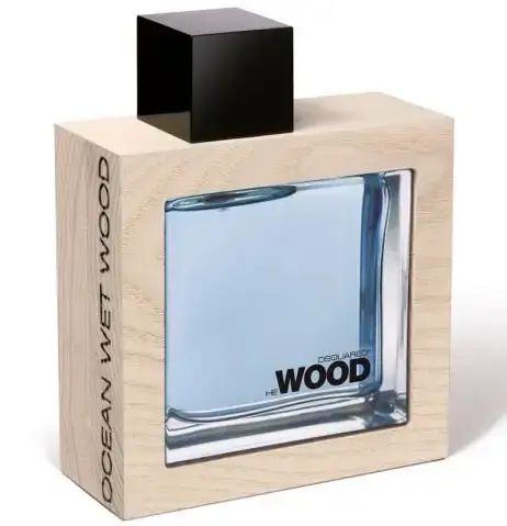 Dsquared2 He Wood Ocean Wet Wood Eau de Toilette 100 ml