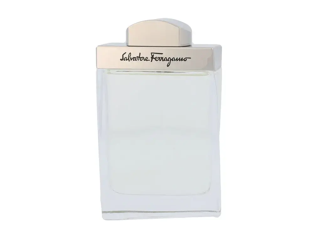 Ferragamo Pour Homme Eau de Toilette 100 ml