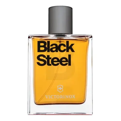 Swiss Army Black Steel Tualetes ūdens vīriešiem 100 ml