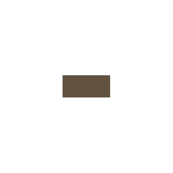 Brow This Way (Professional Pencil) 1.4 G - Shade: 005