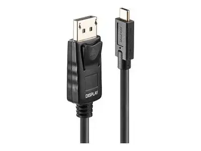Lindy - DisplayPort cable - 24 pin USB-C to DisplayPort - 10 m
