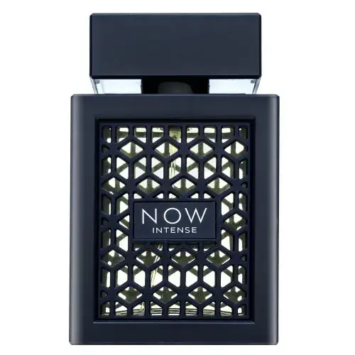 Rave Now Intense Eau de Parfum for men 100 ml