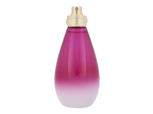 Britney Spears Fantasy the Nice Remix Eau de Parfum 100 ml