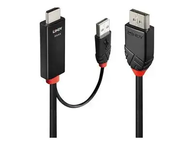 Lindy adapter cable - 3 m