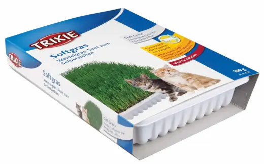 Zāle kaķēniem : Trixie Bio Cat Grass (bowl), 100 g