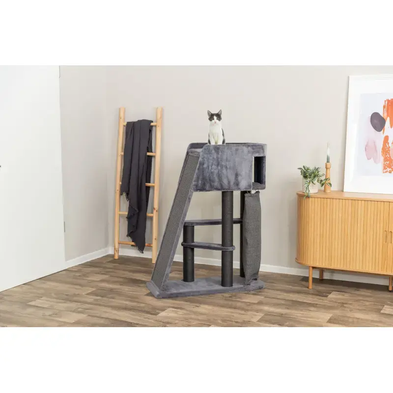 Mājiņa kaķiem – Trixie Cat Tree Active, grey with climbing ramp, 122 cm