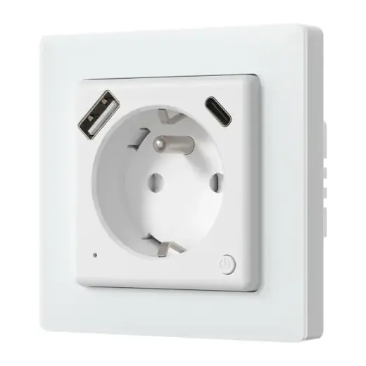 Avatto WOT20-FR Smart plug