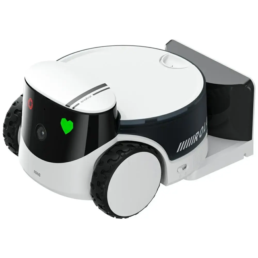 Intelligent companion robot ENABOT   PetPal