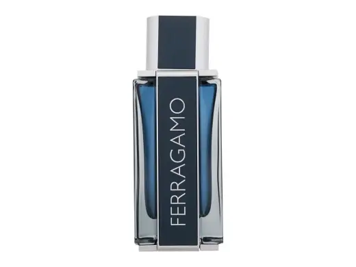 Salvatore Ferragamo Ferragamo Intense Leather духи для мужчин (EDP) 100 мл