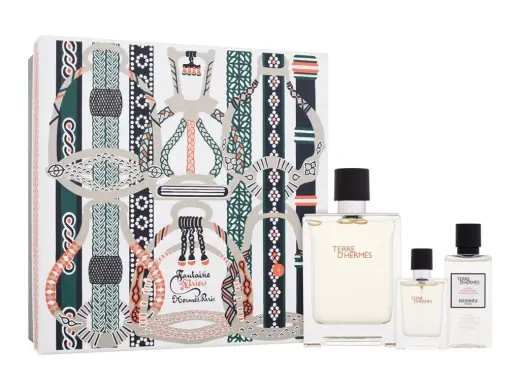 Hermes Terre d'Hermes (EDT) tualetinis vanduo vyrams 100 ml