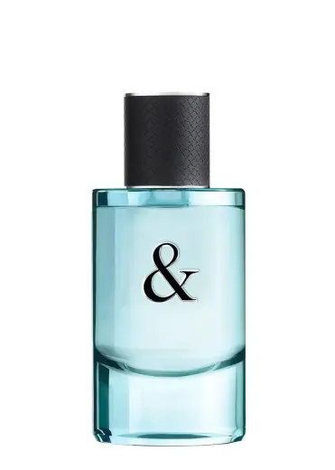 Tiffany & Co Love for Him (EDT) tualettvesi meestele 50 ml
