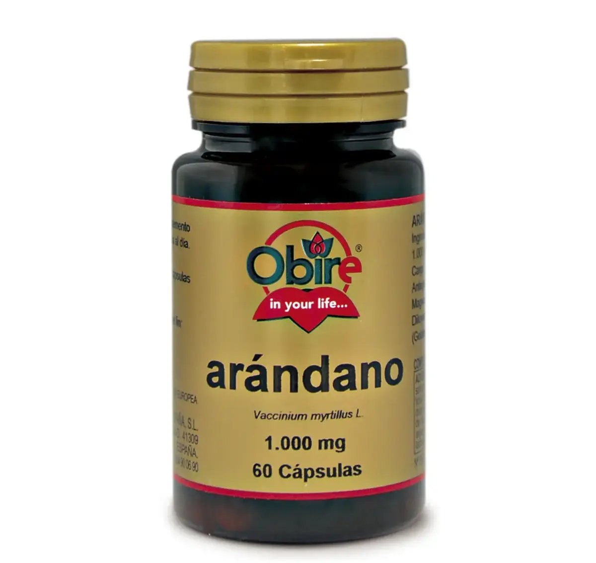 Obire Arandano 1000 Mg 60 Caps