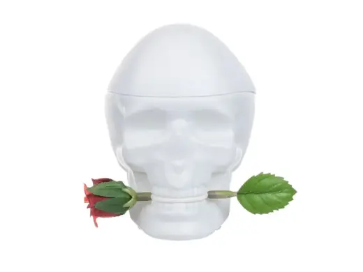 Christian Audigier Ed Hardy Skulls & Roses Eau de Parfum 100 ml