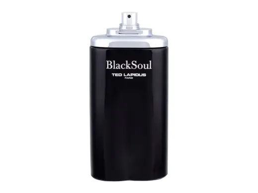 Ted Lapidus Black Soul Eau de Toilette 100 ml