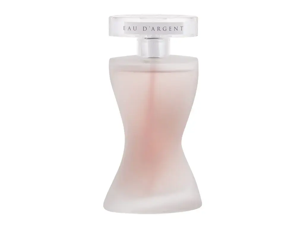 Montana Suggestion Eau d'Argent Eau de Parfum 100 ml