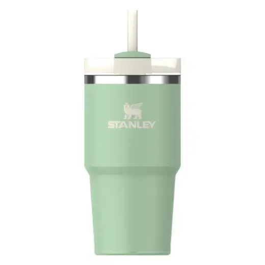 Termospuodelis su šiaudeliu The Quencher H2.O FlowState Tumbler 0.59L pistacijų spalvos