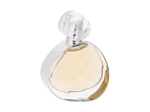 Elizabeth Arden Untold Eau de Parfum 30 ml