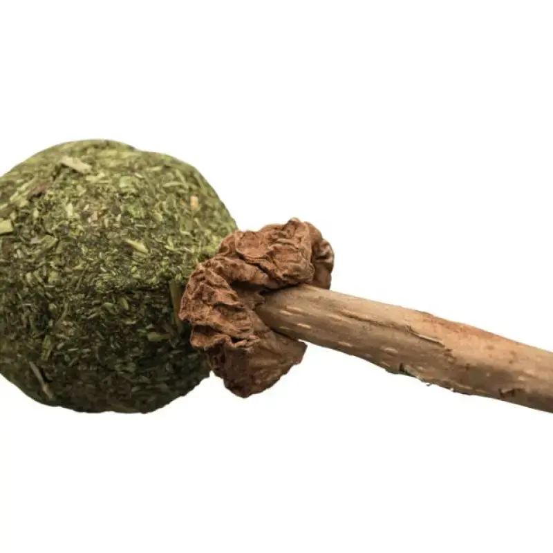 Rotaļlieta kaķiem : Trixie Matatabi lolly, 11 cm