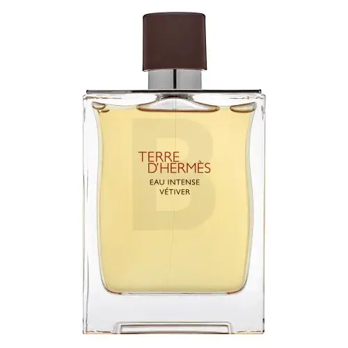 Hermès Terre D'Hermes Eau Intense Vetiver parfimērijas ūdens vīriešiem 200 ml