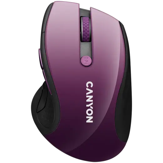 CNS-CMSW01P