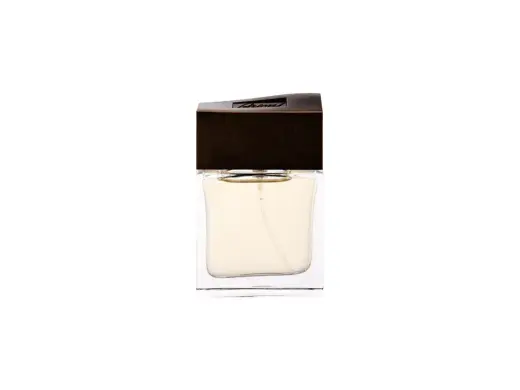 Brioni Brioni Eau de Parfum 30 ml