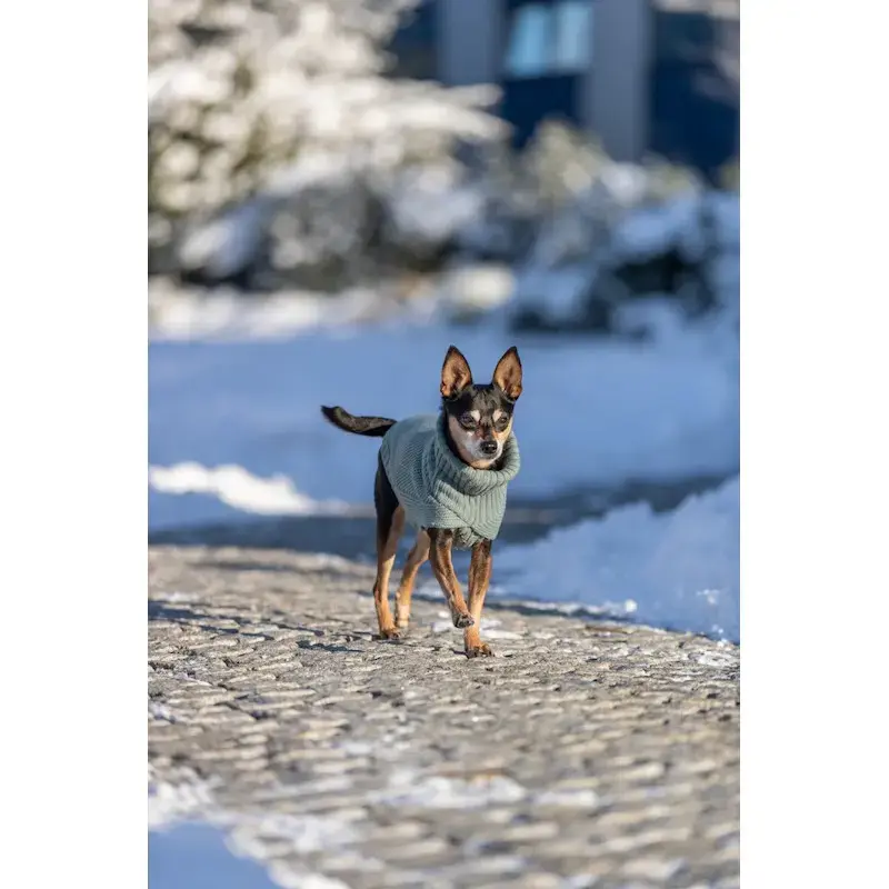 Apģērbs suņiem – Trixie CityStyle Berlin pullover, XS: 30 cm