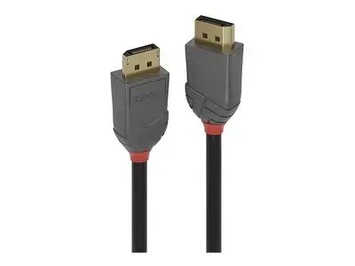 Lindy Anthra Line - DisplayPort cable - DisplayPort to DisplayPort - 5 m