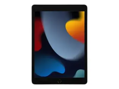 iPad 10.2-inch Wi-Fi 256GB - Space Grey
