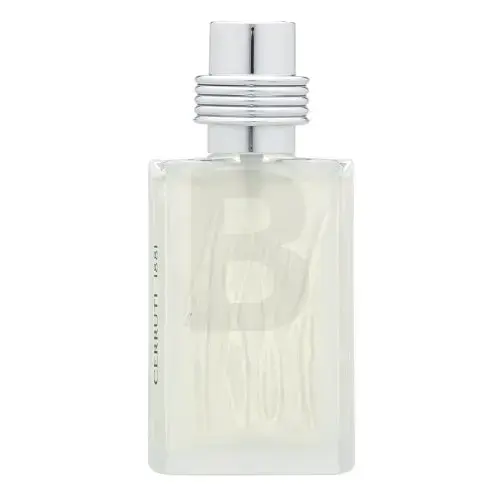 Cerruti 1881 pour Homme (EDT) tualettvesi meestele 50 ml