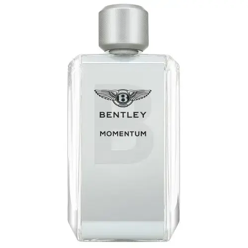 Bentley Momentum Tualetes ūdens vīriešiem 100 ml
