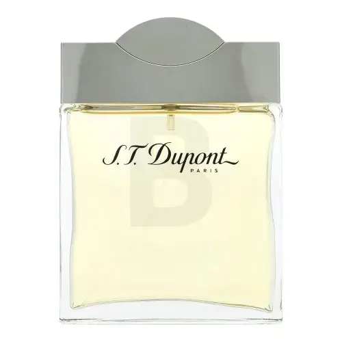 S.T. Dupont S.T. Dupont for Men Eau de Toilette for men 100 ml