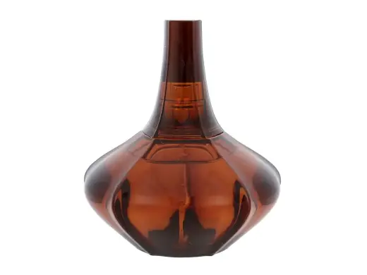 Calvin Klein Secret Obsession Eau de Parfum 100 ml