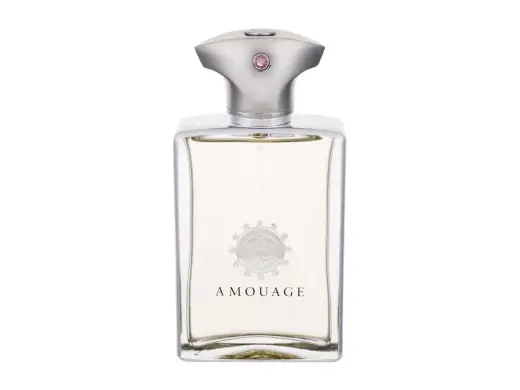 Amouage Reflection Man Eau de Parfum 100 ml