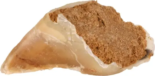 Gardums suniem : Trixie Chewing hoof, with meat filling, 115 g.