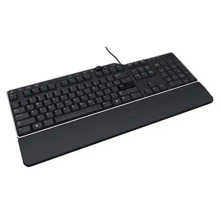 DELL Keyboard ( KB-522 Wired Business Multimedia USB Black US)