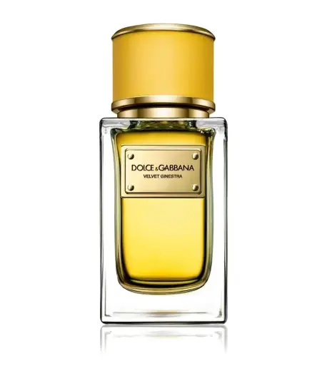 Dolce & Gabbana, Velvet Ginestra, Eau De Parfum, For Women, 50 ml