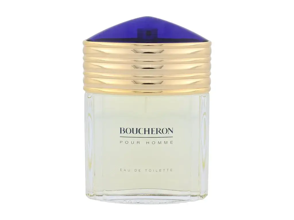 Boucheron Boucheron Pour Homme Eau de Toilette 100 ml