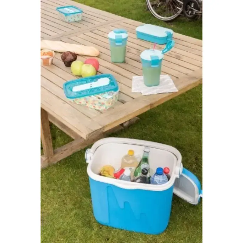 Aukstuma kaste 33L 49,8x33,3x41cm zila/balta