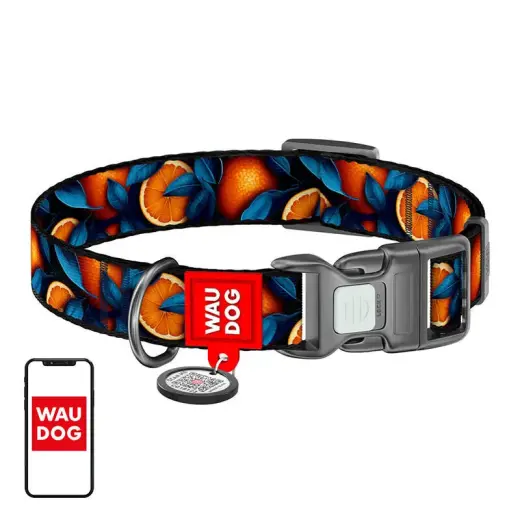 Нейлоновый ошейник для собак Waudog "Oranges" с QR-кодом, размер M