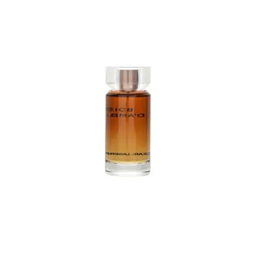 Karl Lagerfeld Bois D' Ambre (EDT) tualetinis vanduo vyrams 100 ml