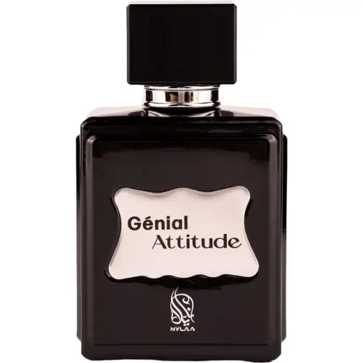 Nylaa, Genial Attitude, Eau De Parfum, For Men, 100 ml