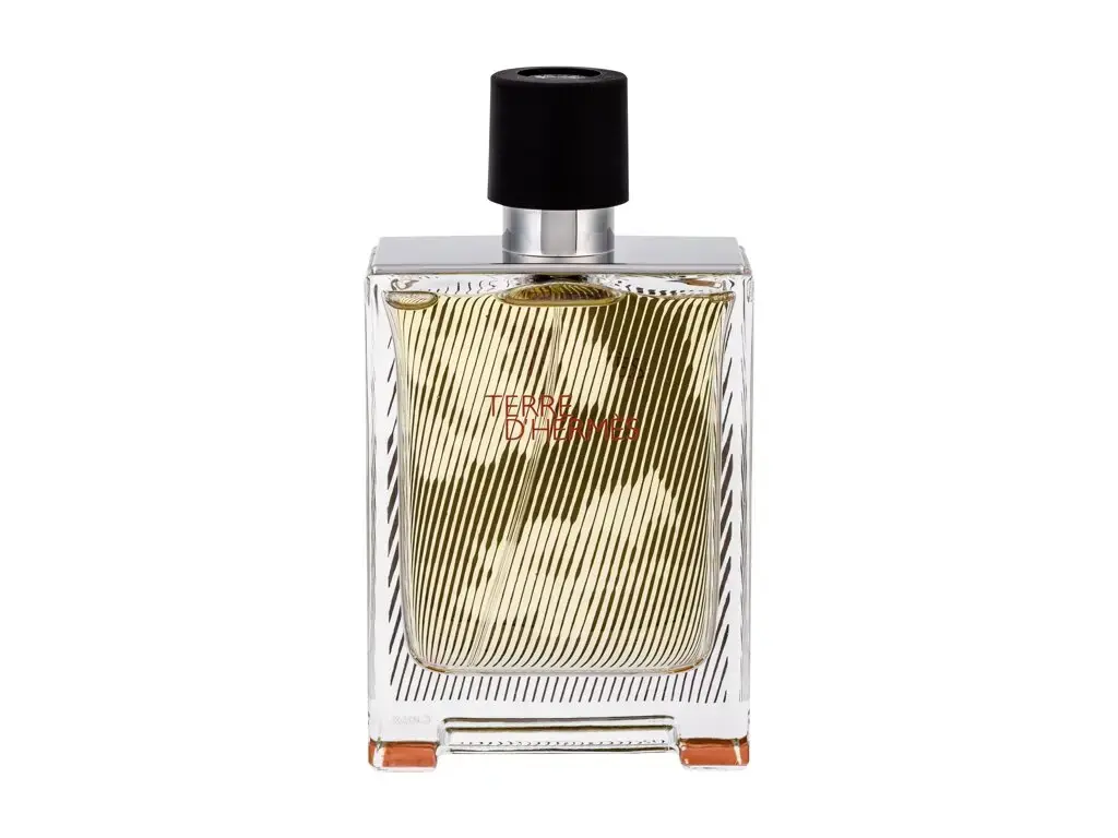 Hermes Terre d'Hermes Flacon H 2018 Eau de Toilette 100 ml