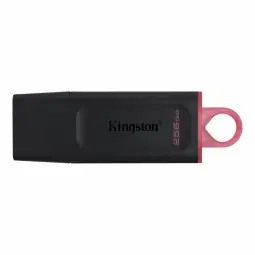 Kingston DataTraveler Exodia 256GB