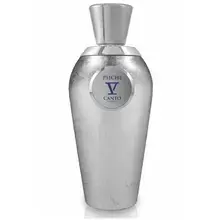 V Canto Psiche (Extrait) parfīma ekstrakts unisex 100 ml