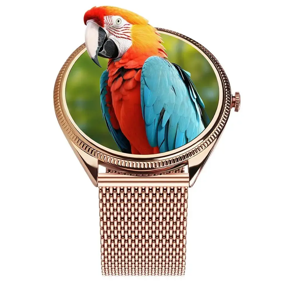 Smartwatch TITMO O-170 (AMOLED, bluetooth call, stainless steal gold mesh strap) gold