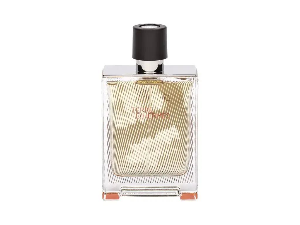 Hermes Terre d'Hermes Flacon H 2018 Eau de Toilette 100 ml