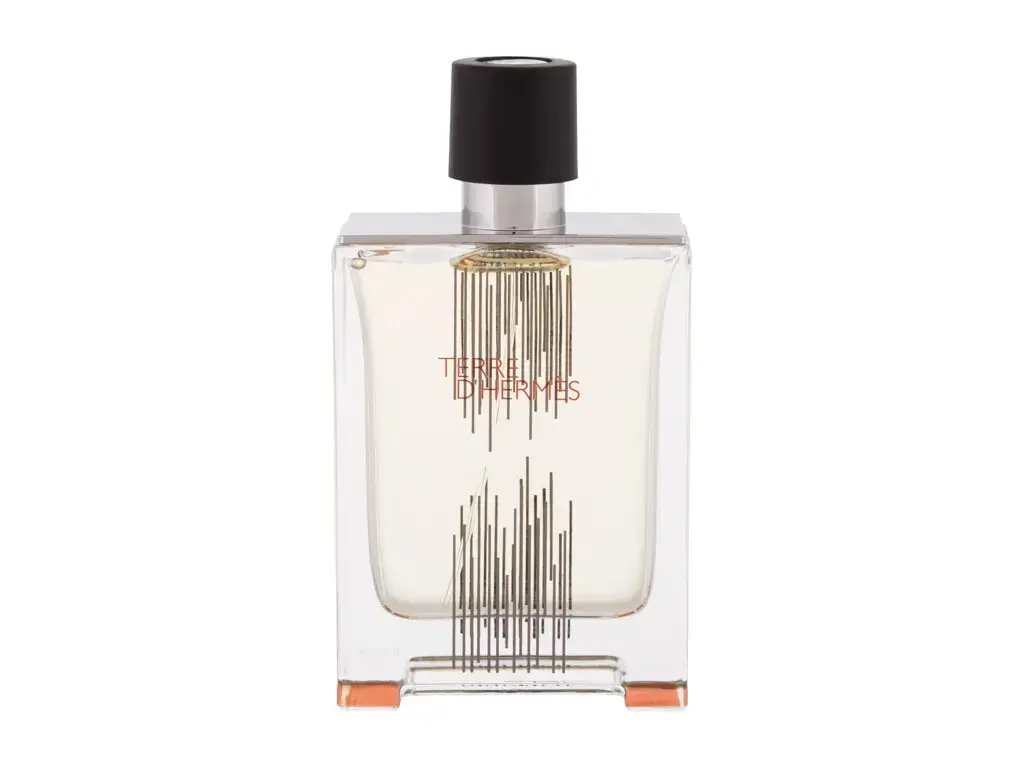 Hermes Terre d'Hermes Flacon H 2021 Eau de Toilette 100 ml